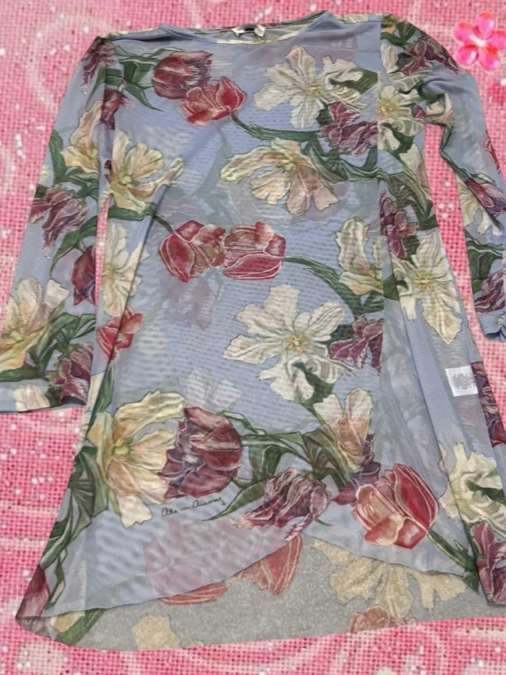 Ala von Auersperg Floral Mesh Mini Dress in Light Blue